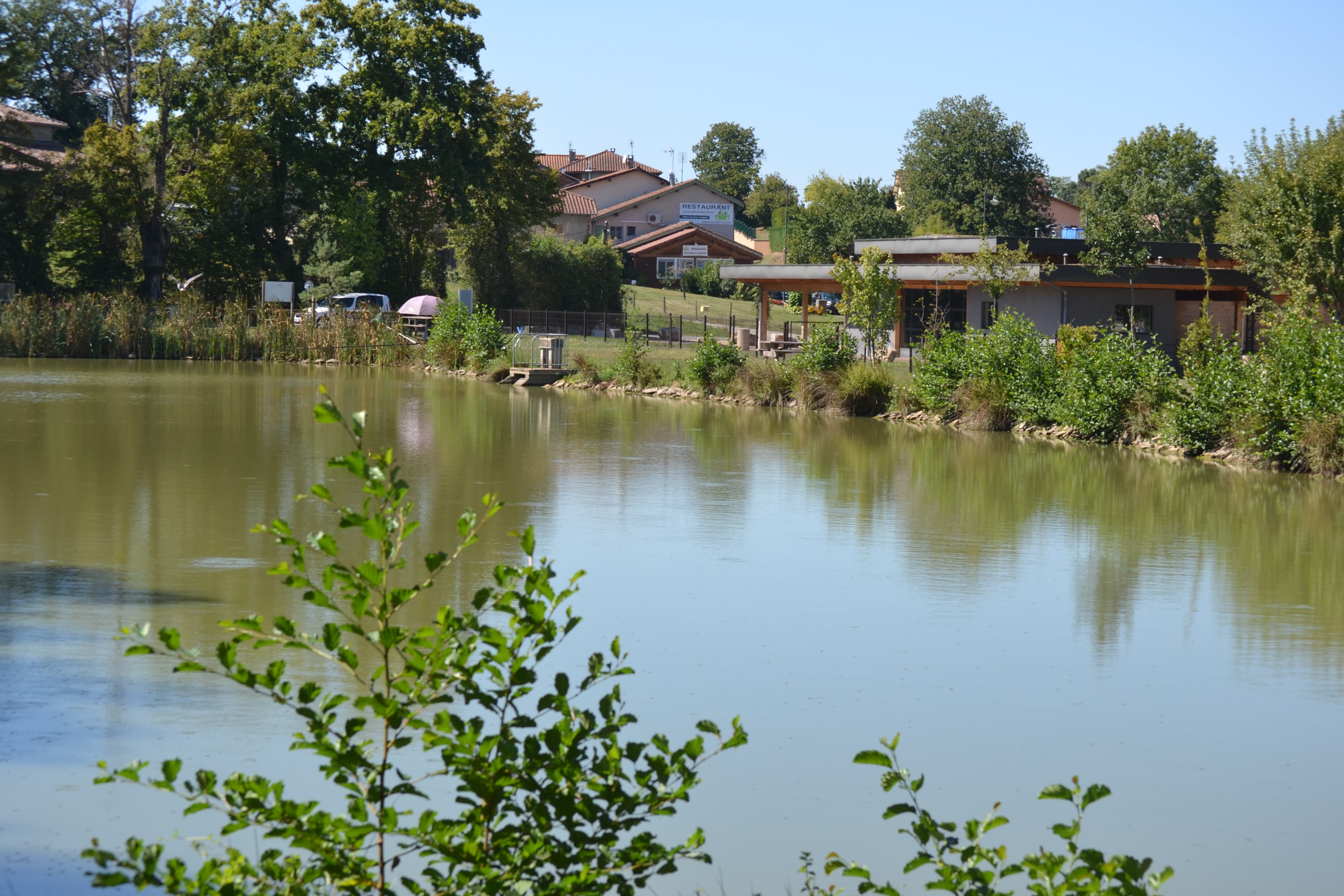 L'étang Rivériat